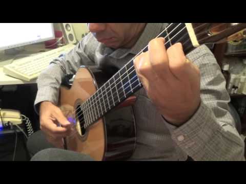 Mauro Giuliani - Allegro opus 50 No 13