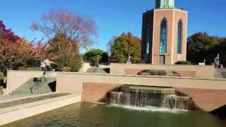 Eight Years Training