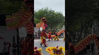 Download lagu Auspicious Dragon Dance Performance, Chinese New Year Singapore, Plaza Singapura mp3