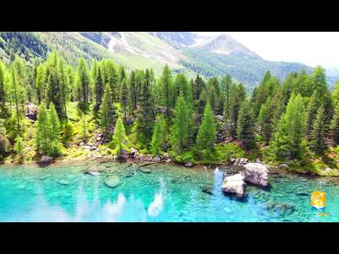 Lago saoseo giu 2021 svizzera  val da camp poschiavo