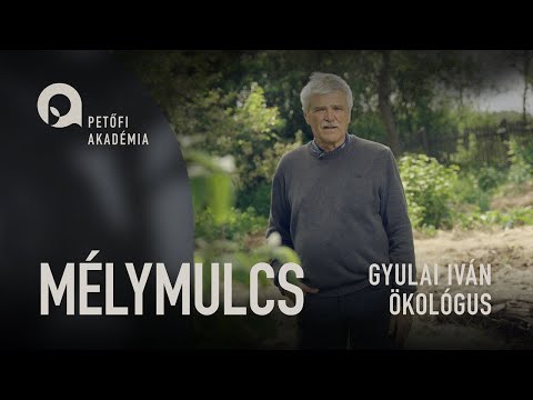PETŐFI AKADÉMIA: MÉLYMULCS | GYULAI IVÁN ep.11.