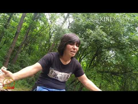 MAGDA - PAZIN DEVLA E PASTIRIEN 2020 / Магда - Пазим Девла е пастириен BoreMusic