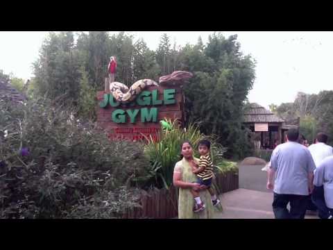 Sirisha and Cute Akshaj with big Anaconda in Nashville Zoo