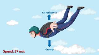Terminal Velocity