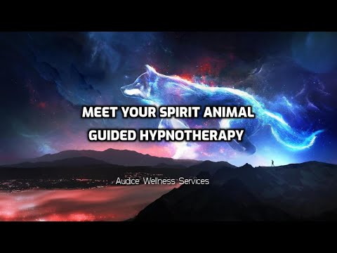 Meet Your Spirit Animal Guided Hypnotherapy  #sleephypnosis #spiritanimals #hypnosis #hypnotherapy