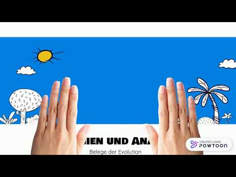 Homologie und Analogie