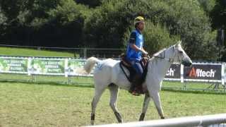 preview picture of video 'JEM 2014, Normandie, endurance vu par un spectateur. France Medaille d'Argent.'