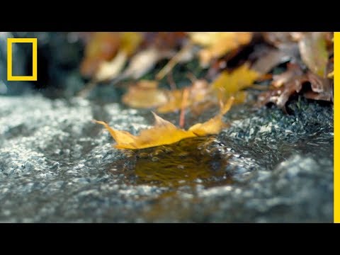 Équinoxe d'automne
