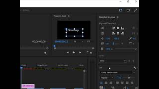 Adding text in premier