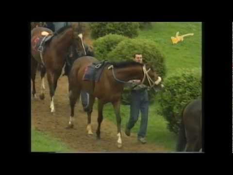 Nagroda Aschabada - 23.06.1996 - Czanka (Graf - Czalanda)