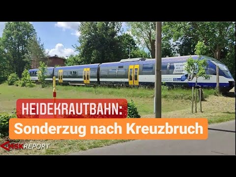 MSK REPORT (30) - Heidekrautbahn: Sonderzug nach Kreuzbruch