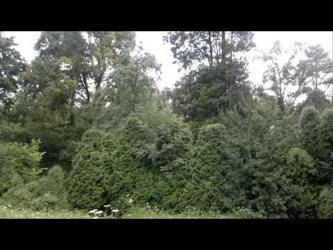 Wzdów Pałac Ostaszewskich