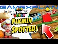 Captain Toad Hidden Pikmin Found At Super Nintendo World