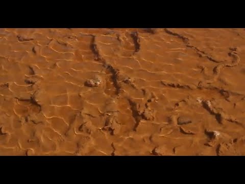 Pyrame - So Sprach Psychedelia (Rambal Cochet´s Trance Mix) (Official Music Video)