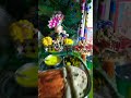 Mai Jaha Bhi Rahu Barsana Mile Viral Bakebihariji Shriharidas Harekrishna Viralshorts Viralvideo