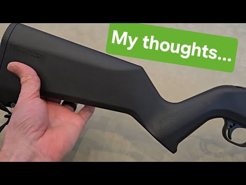 Ruger 10/22.. What NO ONE is telling you!