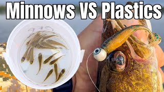 Can Plastics Out-Fish Live Minnows? Fall Walleye Showdown + Giveaway!