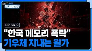 월가, 한국 메모리 주식 폭락하기만을 기다린다? | 월가백브리핑