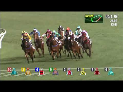 14/4/2021 (590) Stock Legend - J Moreira