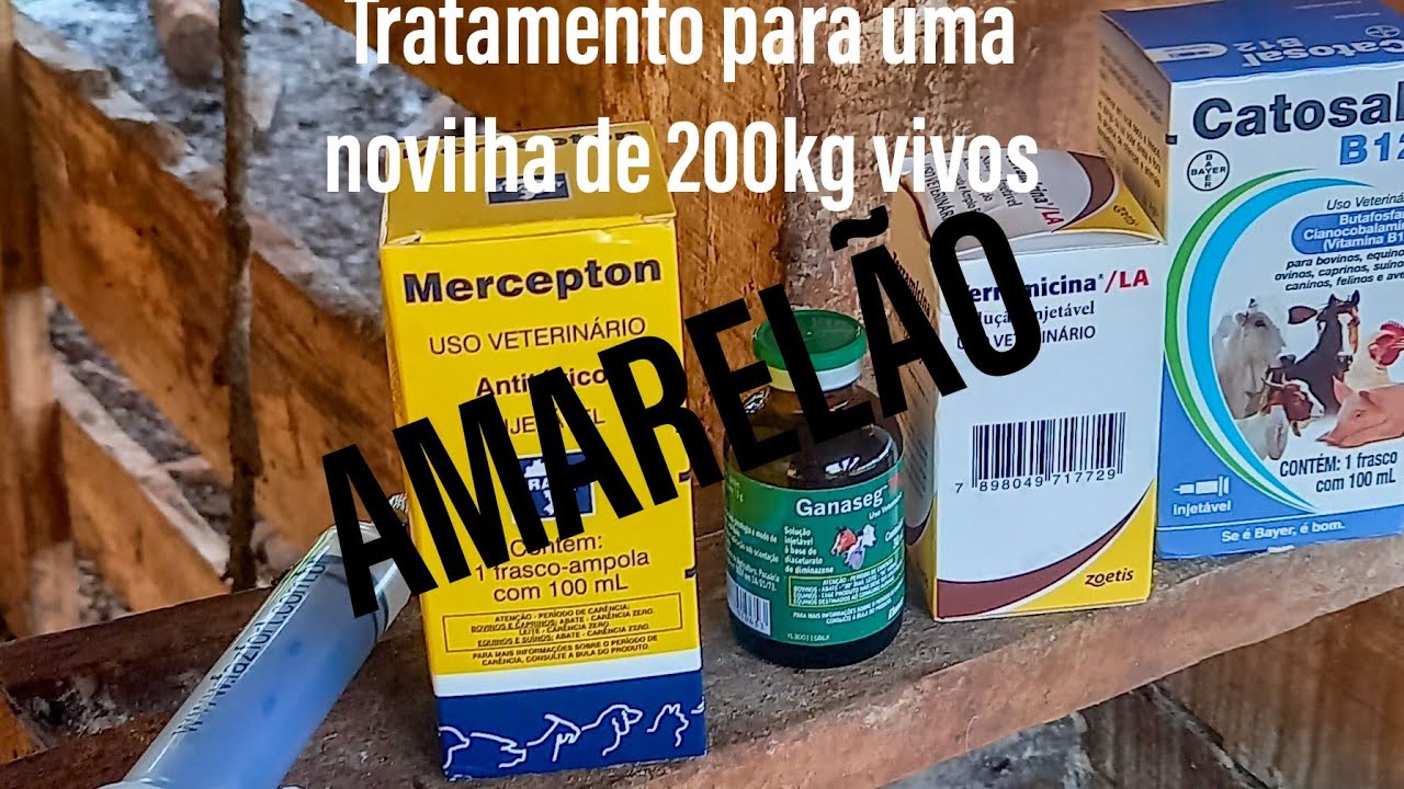 TRISTEZA PARASITÁRIA TRATAMENTO