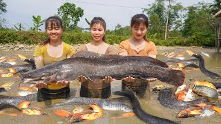 Harvest A Lot Of Fish At Pond For Sell - Phương and Nhất Go to help harvest fish | Ly Tieu Toan