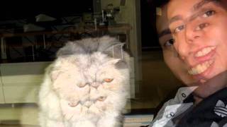 Mike Francis Mendoza