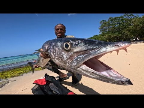 3 DAYS of crazy spearfishing & exploring adventure living from the ocean