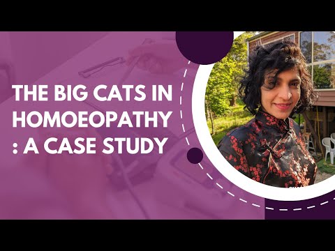 Case Study : Panthera Onca: Breakthrough From Fear to Freedom