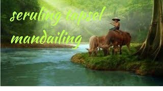 Download lagu Seruling merdu tapsel mandailing mp3