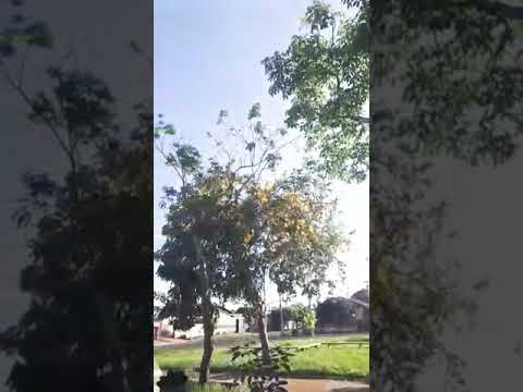 BEAT DO SOLITÁRIO - MC Theuzyn,MC Magrinho passinho dos maloka