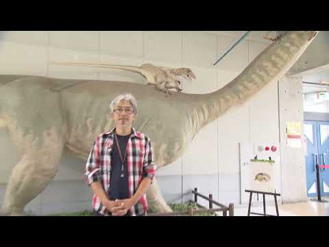 🦖恐竜学部（仮称）２０２５年４月設置構想中！！🦕【福井県立大学】