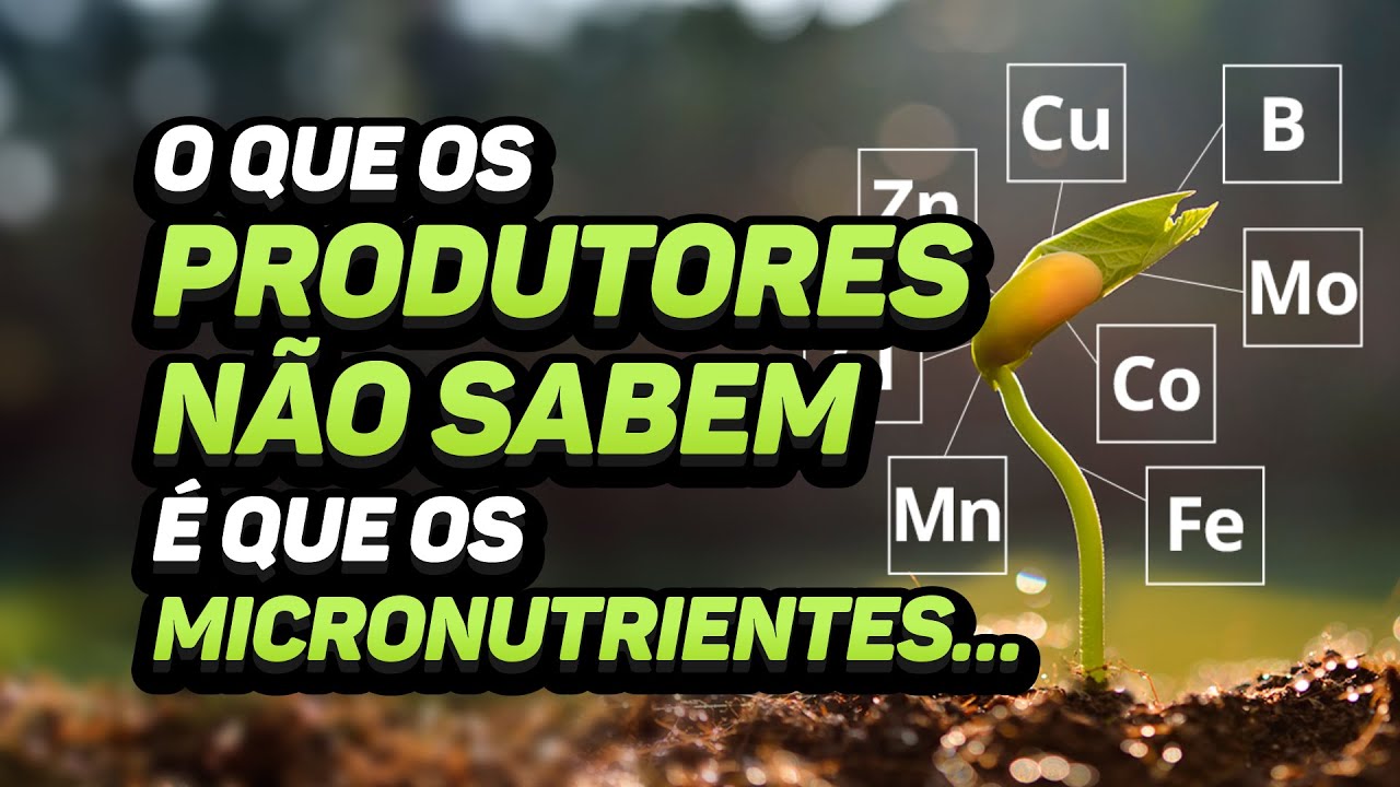A Melhor Forma de Adubar com Micronutrientes