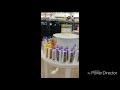 A Walk Through A Sears Store