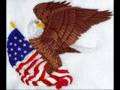 Bald Eagles A Thing Of Beauty