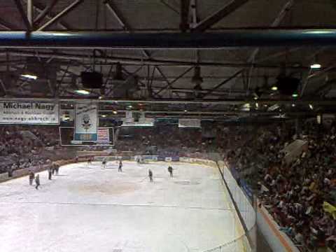 München vs. SERC Wild Wings - Finalspiel 2 - Support der SERC Fans während dem 3. Drittel