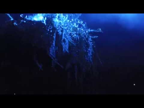 New Forms Festival 2016 Unofficial After Video