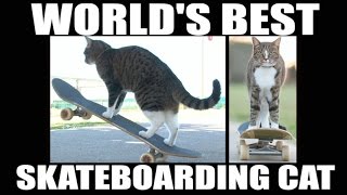 CAT Super Skateboarding Adventure! Go Didga! (ORIGINAL)