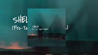 Download lagu Shela (Pro-Tee's Gqom Remake) mp3