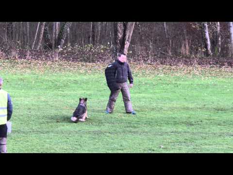 Elitklass skydd Jkpg 141109