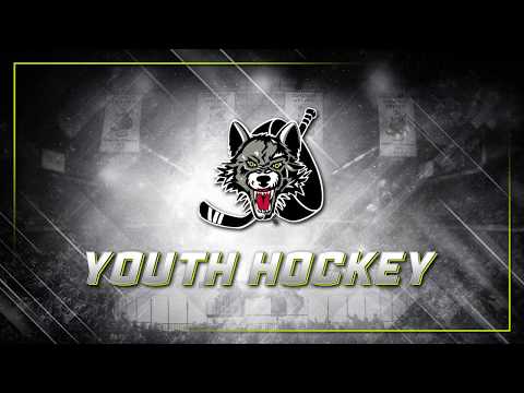 Glacier Avs Mites - February 3, 2018: Second Intermission