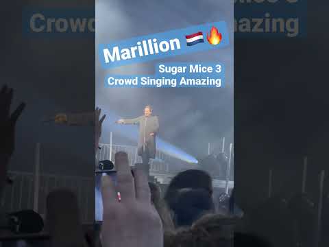 Sugar Mice /- Amazing /- Marillion part 3