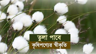 তুলা পাবে কৃষিপণ্যের স্বীকৃতি