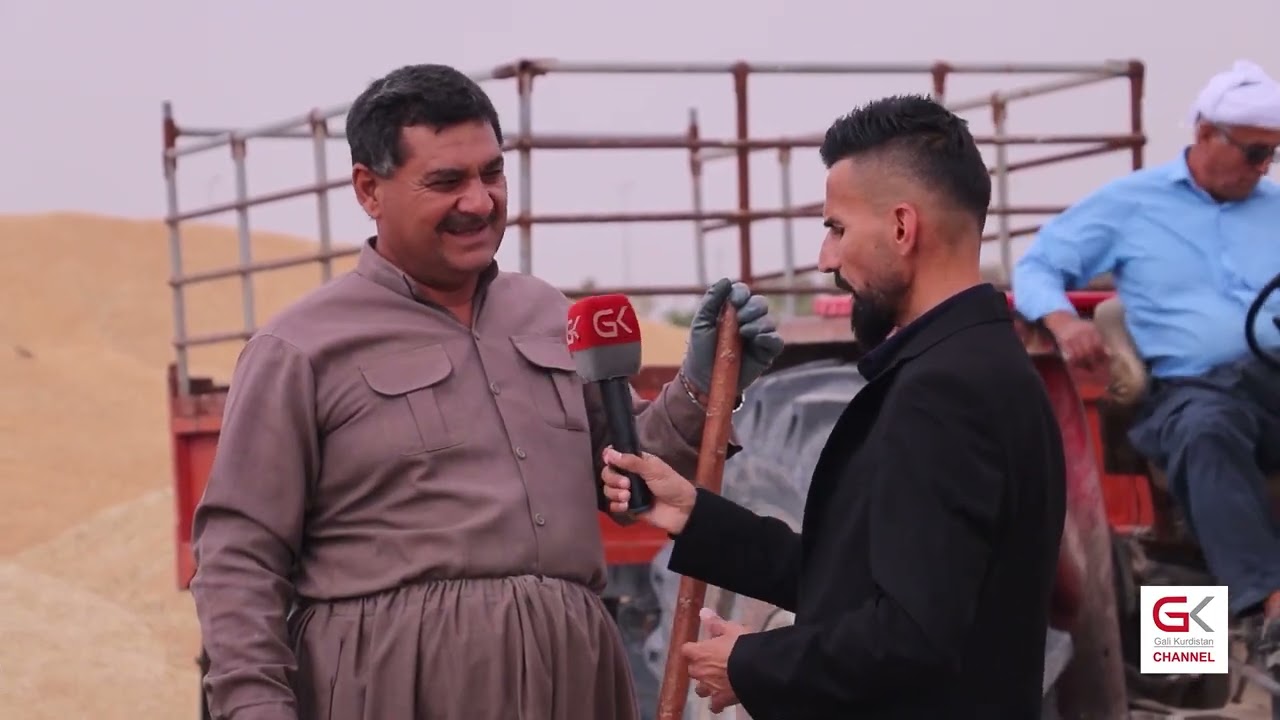 ڤیدیۆ | جووتیارانی گەرمیان گەنمەكانیان هەرزان فرۆش دەكەن