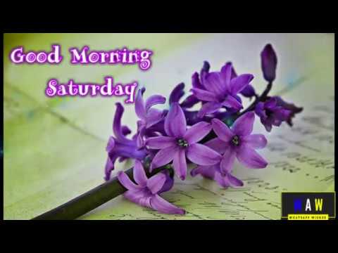 Lovely Saturday Morning Wishes | Whatsapp wishes status video | Ashim Khan MP |