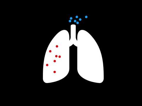 Gasaustausch in der Lunge
