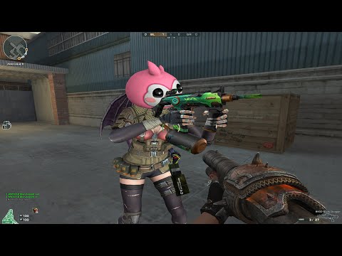 CFPH: Buying Zombie Package (B CBJ-MS Magic Circle) & (A M245-D Black Dragon) (MarkhovScrch)