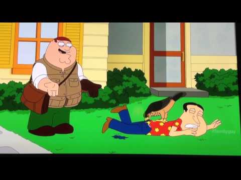 Peters falcon, quagmires rodent