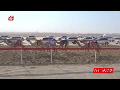  ش 25 (الشاهينيه) لـ عبدالله حمود ياسر الجحافي 3:06:20 , شارة الصندوق 2026/08/30 فطامين الوثبة 