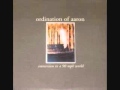 ordination of aaron - immersion in a 90 mph world ...