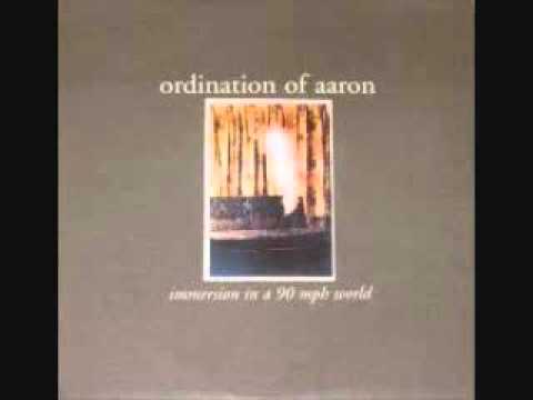 ordination of aaron - immersion in a 90 mph world lp